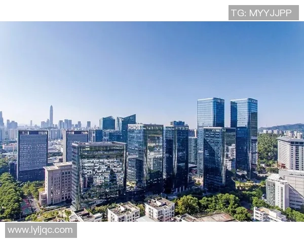 深圳羽毛球队区域防守创新策略解析与实践成果展示