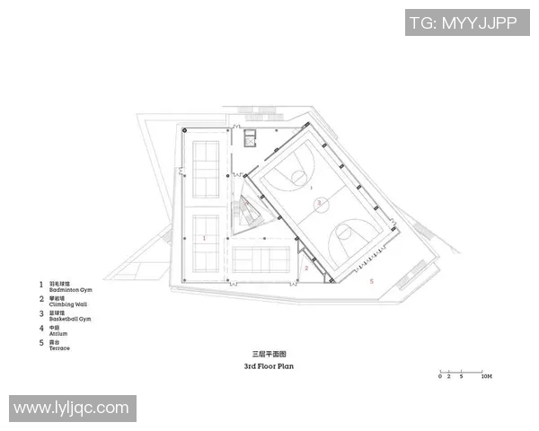 南京攀岩队的阵地战分析与反思：得失背后的深层原因探讨