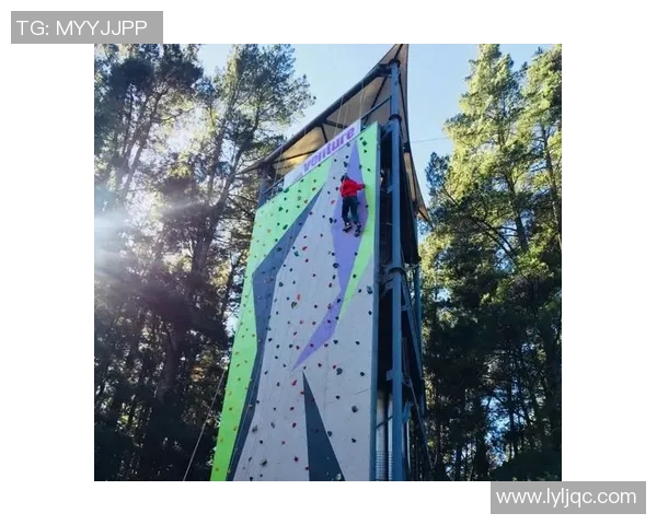 攀岩人生的高峰与低谷王磊分享他的攀岩生涯与心路历程