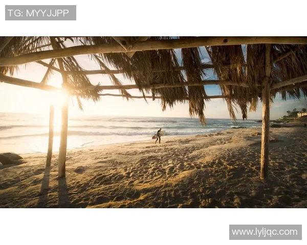 杭州极限运动队的整体表现分析与战术得失探讨